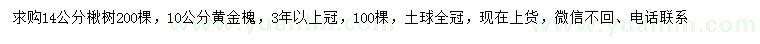 求購(gòu)14公分楸樹、10公分黃金槐
