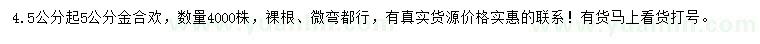 求購5公分金合歡