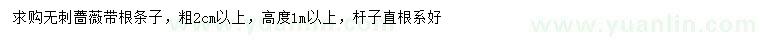 求購粗2公分以上無刺薔薇帶根條子