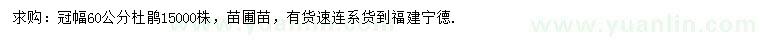 求購(gòu)冠幅60公分杜鵑
