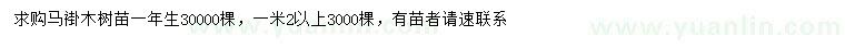 求購馬褂木