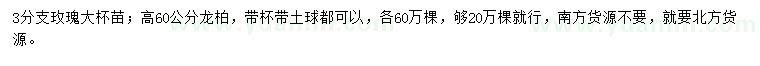 求購3分支玫瑰大杯苗、高60公分龍柏