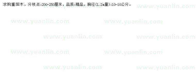求購胸徑1.2米量10公分重陽木
