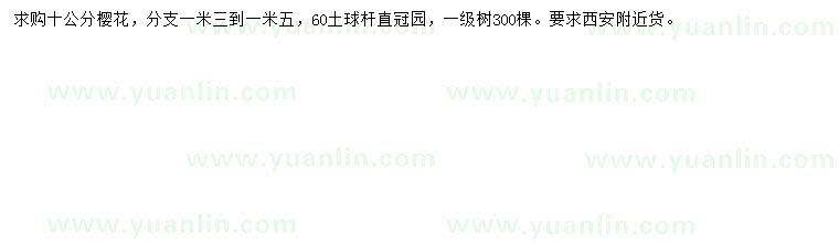 求購10公分櫻花