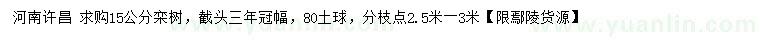 求購15公分欒樹
