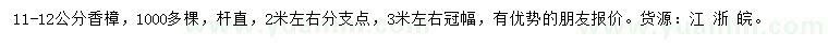求購11-12公分香樟