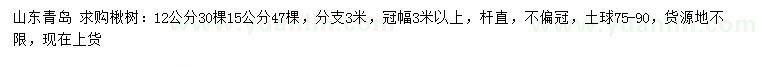 求購(gòu)12、15公分楸樹