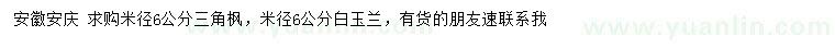 求購米徑6公分三角楓、白玉蘭