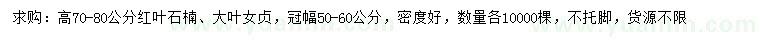 求購(gòu)高70-80公分紅葉石楠、大葉女貞