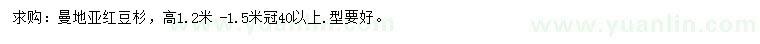 求購高1.2-1.5米曼地亞紅豆杉