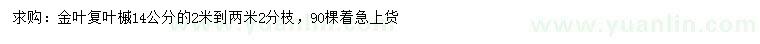 求購(gòu)14公分金葉復(fù)葉槭