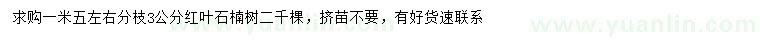 求購(gòu)3公分紅葉石楠