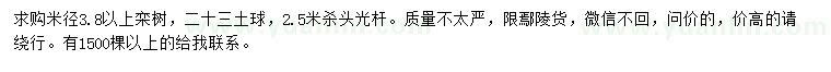 求購(gòu)米徑3.8公分以上欒樹