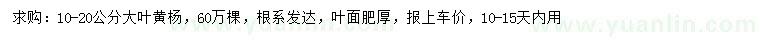 求購10-20公分大葉黃楊