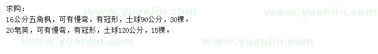 求購(gòu)16公分五角楓、20公分皂莢