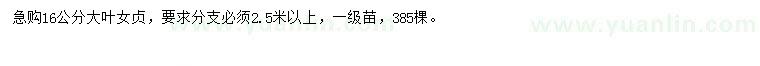 求購16公分大葉女貞