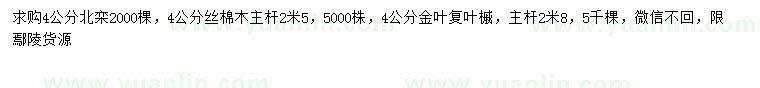 求購北欒、絲棉木、金葉復(fù)葉槭
