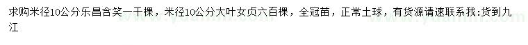 求購米徑10公分樂昌含笑、大葉女貞