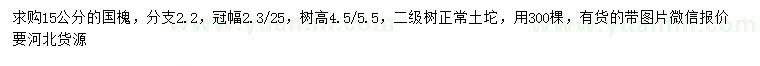 求購15公分國槐