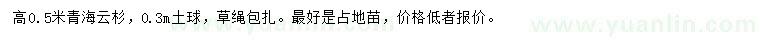 求購高0.5米青海云杉