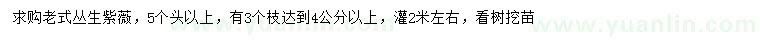求購(gòu)老式叢生紫薇