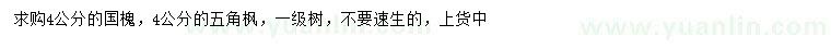 求購4公分國槐、五角楓