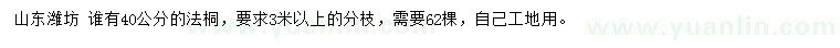求購(gòu)40公分法桐