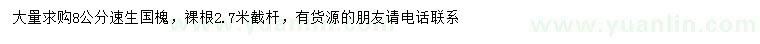 求購(gòu)8公分速生國(guó)槐