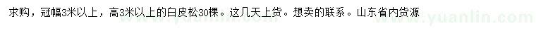 求購冠幅3米以上白皮松
