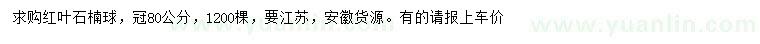 求購(gòu)冠幅80公分紅葉石楠球