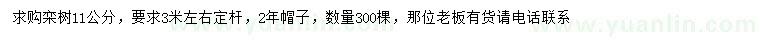求購(gòu)11公分欒樹(shù)