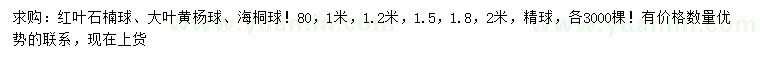 求購紅葉石楠球、大葉黃楊球、海桐球