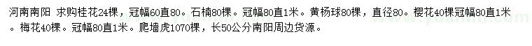求購桂花、石楠、黃楊球等