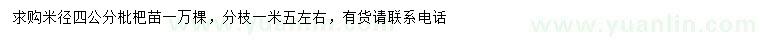 求購米徑4公分枇杷苗
