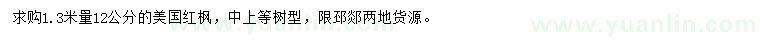 求購1.3米量12公分美國紅楓