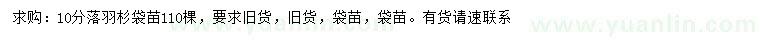 求購10公分落羽杉