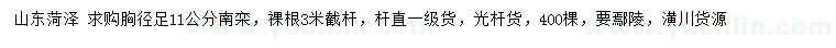 求購胸徑足11公分南欒