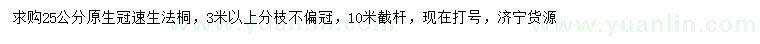 求購(gòu)25公分速生法桐