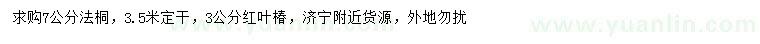 求購7公分法桐、3公分紅葉椿