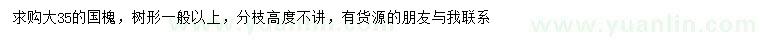 求購35公分國槐