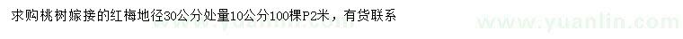 求購地徑30公分處量10公分嫁接紅梅