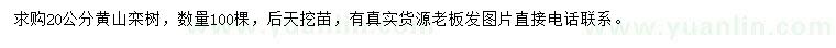 求購20公分黃山欒