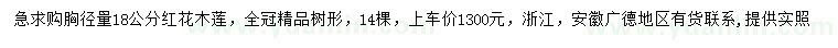 求購胸徑量18公分紅花木蓮