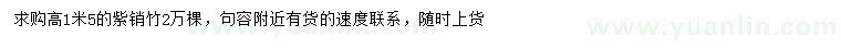 求購高1.5米紫銷竹