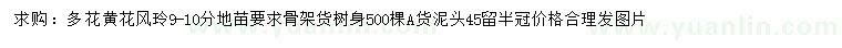 求購9-10公分多花黃花風(fēng)玲