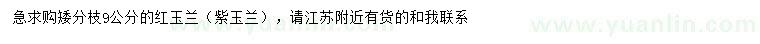 求購9公分紅玉蘭