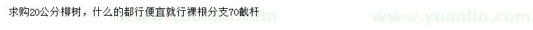 求購20公分柳樹