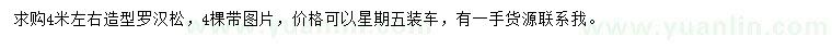 求購(gòu)4米左右造型羅漢松