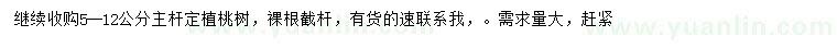 求購5-12公分桃樹