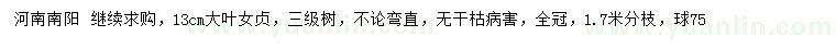 求購13公分大葉女貞